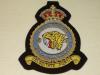 195 Sqdn KC wire Blazer Badge