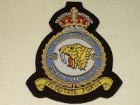 195 Sqdn KC wire Blazer Badge