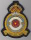 630 Squadron Royal Air Force King's Crown blazer badge