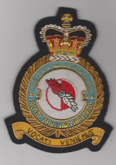 7010 VR Photographic Interpretation Squadron blazer badge - Click Image to Close