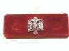 Queens Dragoon Guards lapel badge