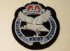 The Glider Pilot Regiment Queens Crown blazer badge