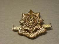 Worcestershire Regiment WW1 cap badge