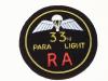 33rd Para Light Royal Artillery blazer badge