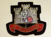 1st BN Royal Anglian blazer badge 119