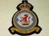 110 Squadron RAF KC blazer badge