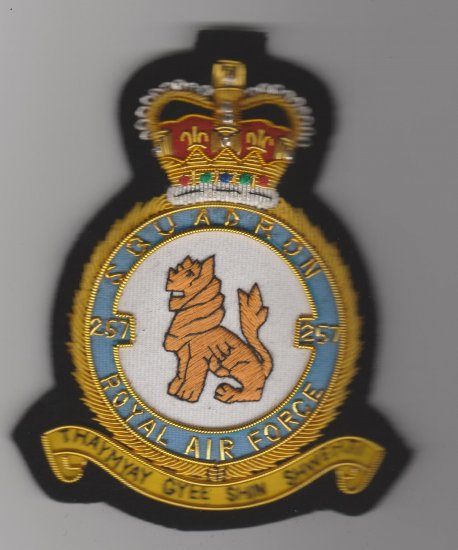 257 Squadron RAF QC wire blazer badge - Click Image to Close
