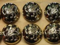 Royal Regiment of Wales button 40 ligne