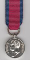 Waterloo miniature medal