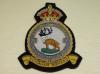 125 (Newfoundland) Squadron RAF KC blazer badge