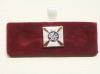Duke of Edinburgh Regiment lapel badge