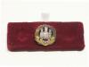 Northamptonshire Regiment lapel pin