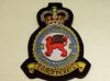207 Squadron QC blazer badge