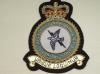 Tactical Communication Wing RAF blazer badge