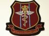 23 Parachute Field Ambulance shield RAMC blazer badge