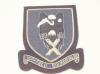 10th Field Squadron Royal Engineers blazer badge