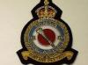 169 Sqdn KC RAF blazer badge