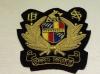Birmingham Fire & Ambulance Service blazer badge