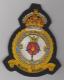 611 West Lancashire Aux. Squadron King's Crown blazer badge