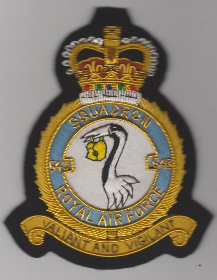 543 Squadron Queen's Crown Royal Air Force blazer badge - Click Image to Close