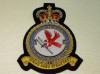 66 Squadron RAF Regt blazer badge