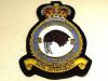 275 Squadron RAF QC blazer badge