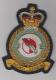 7010 VR Photographic Interpretation Squadron blazer badge