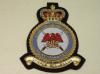 22 (Training) Group Headquarters RAF blazer badge