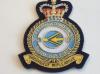 RAF 232 OCU blazer badge