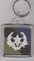 Cameronians key ring