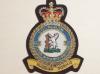 605 (CoW) RAF QC Squadron blazer badge