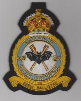 595 Squadron King's Crown Royal Air Force e blazer badge