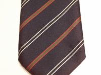 Queen's Royal Surrey Regiment (East and West) polyester striped
