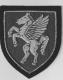 Airborne blazer badge