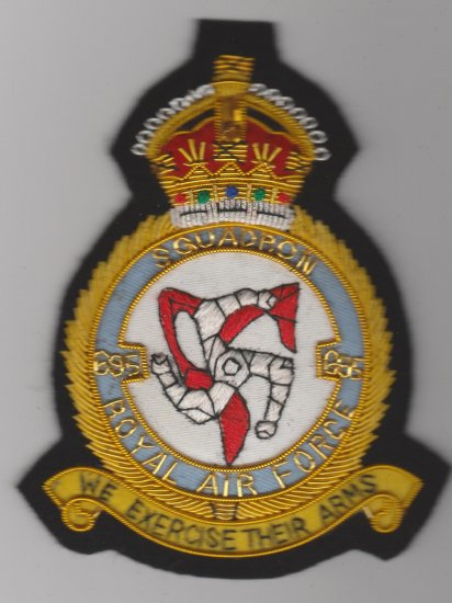 695 Squadron Royal Air Force King's Crown wire blazer badge - Click Image to Close