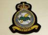 25 Flying Training Group RAF blazer badge