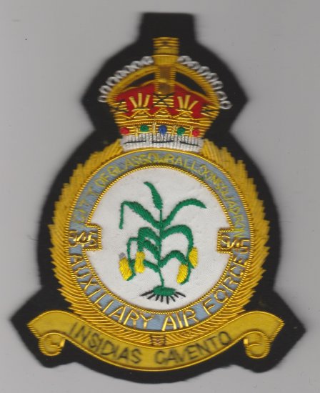 945 Squadron Royal Aux Air Force King's Crown blazer badge - Click Image to Close