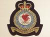 RAF Technical Training Command blazer badge