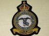 25 squadron KC RAF blazer badge