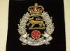 Royal Hampshire 1st Battalion blazer badge 49