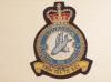 221 RAF Sqdn blazer badge