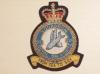 221 RAF Sqdn blazer badge