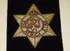 Africa Star Association blazer badge