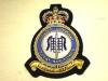 RAF Fighter Command QC blazer badge 110