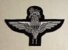 2 Parachute Regiment blazer badge