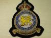 223 Squadron KC blazer badge