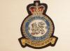 223 RAF Sqdn blazer badge