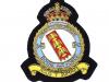 342 (French) Squadron RAF KC blazer badge