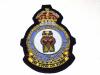 402 Squadron RCAF KC blazer badge