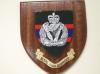 Royal Irish Regiment hand painted wooden Wall shield